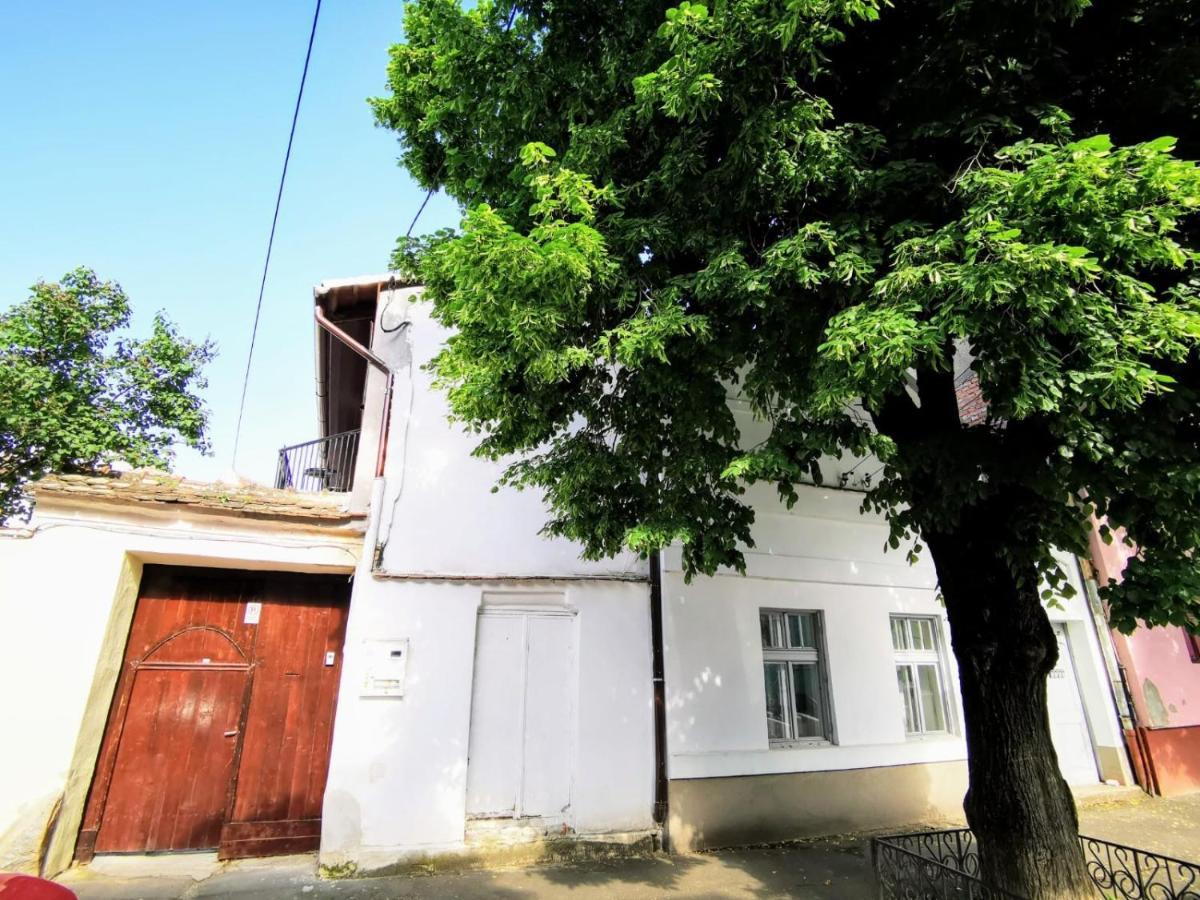 Studio Sibiu Buitenkant foto